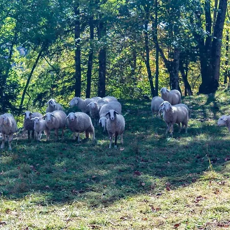 House Jereka -bohinj