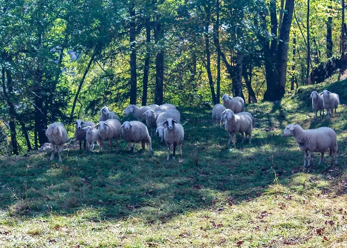 House Jereka -bohinj